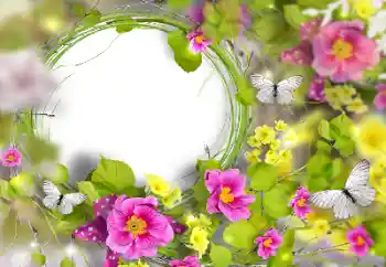 Efekt zdjęciowy z kategorii Ramki dla kobiet № 170446