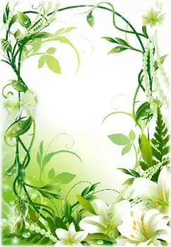 Efekt zdjęciowy z kategorii Ramki dla kobiet № 170461