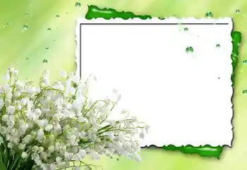 Efekt zdjęciowy z kategorii Ramki dla kobiet № 170480