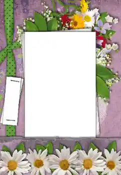 Efekt zdjęciowy z kategorii Ramki dla kobiet № 170521