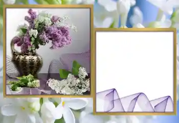 Efekt zdjęciowy z kategorii Ramki dla kobiet № 170570