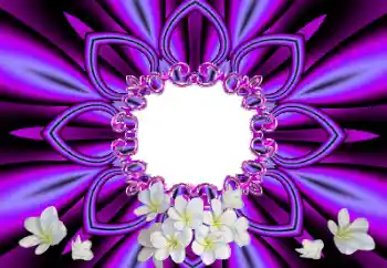 Efekt zdjęciowy z kategorii Ramki dla kobiet № 170607