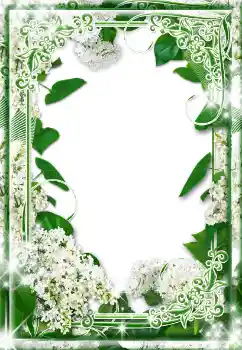 Efekt zdjęciowy z kategorii Ramki dla kobiet № 17130