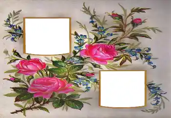 Efekt zdjęciowy z kategorii Ramki dla kobiet № 171684