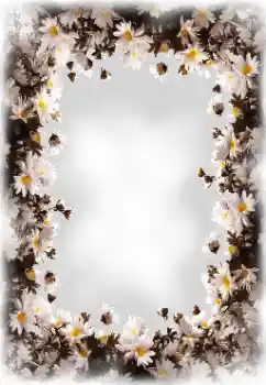 Efekt zdjęciowy z kategorii Ramki dla kobiet № 172819