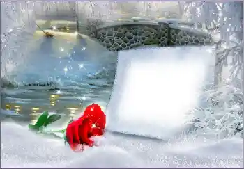 Efekt zdjęciowy z kategorii Ramki dla kobiet № 172963