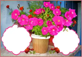 Efekt zdjęciowy z kategorii Ramki dla kobiet № 172978