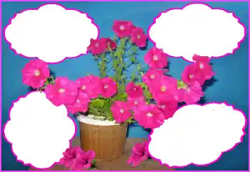 Efekt zdjęciowy z kategorii Ramki dla kobiet № 172980