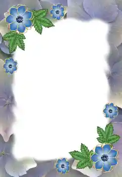 Efekt zdjęciowy z kategorii Ramki dla kobiet № 172985