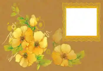 Efekt zdjęciowy z kategorii Ramki dla kobiet № 172996