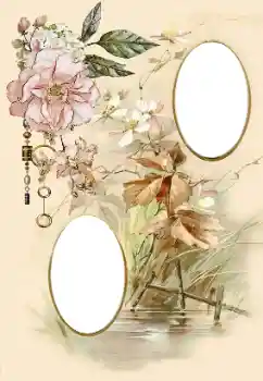 Efekt zdjęciowy z kategorii Ramki dla kobiet № 174098