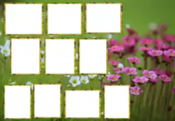 Efekt zdjęciowy z kategorii Ramki dla kobiet № 174173