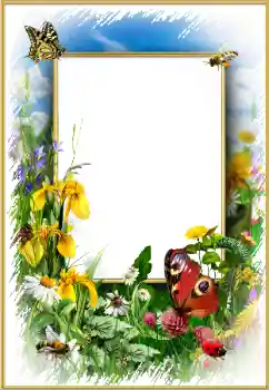 Efekt zdjęciowy z kategorii Ramki dla kobiet № 175352