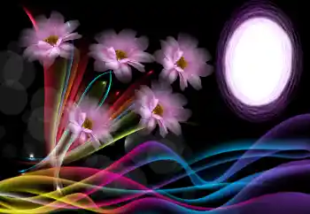 Efekt zdjęciowy z kategorii Ramki dla kobiet № 175500