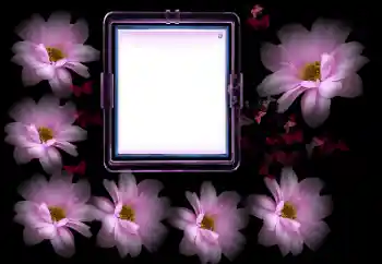 Efekt zdjęciowy z kategorii Ramki dla kobiet № 175502