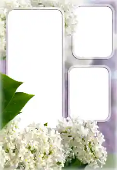 Efekt zdjęciowy z kategorii Ramki dla kobiet № 176613