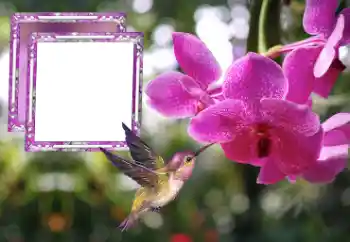 Efekt zdjęciowy z kategorii Ramki dla kobiet № 176778