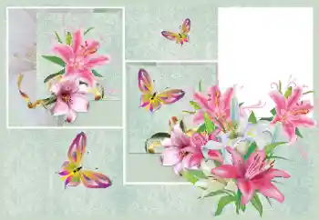 Efekt zdjęciowy z kategorii Ramki dla kobiet № 176820