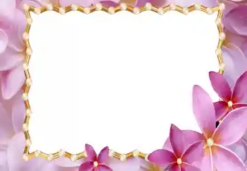 Efekt zdjęciowy z kategorii Ramki dla kobiet № 177920