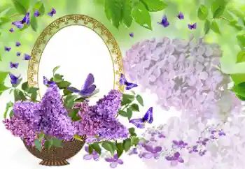 Efekt zdjęciowy z kategorii Ramki dla kobiet № 177975