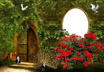 Efekt zdjęciowy z kategorii Ramki dla kobiet № 178046