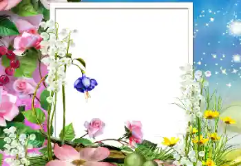 Efekt zdjęciowy z kategorii Ramki dla kobiet № 178206