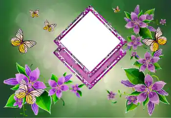 Efekt zdjęciowy z kategorii Ramki dla kobiet № 178292