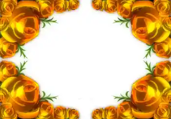 Efekt zdjęciowy z kategorii Ramki dla kobiet № 1782