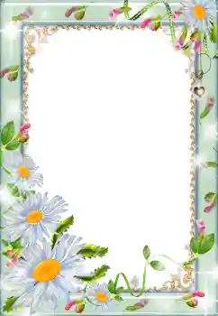 Efekt zdjęciowy z kategorii Ramki dla kobiet № 179319