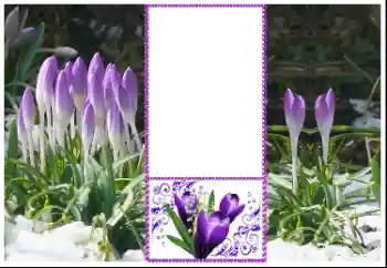 Efekt zdjęciowy z kategorii Ramki dla kobiet № 179360