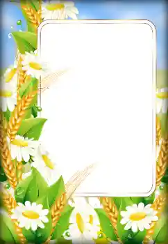 Efekt zdjęciowy z kategorii Ramki dla kobiet № 179526