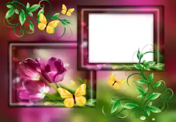 Efekt zdjęciowy z kategorii Ramki dla kobiet № 179563