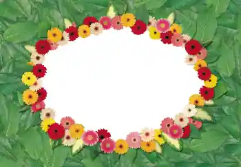 Efekt zdjęciowy z kategorii Ramki dla kobiet № 180695