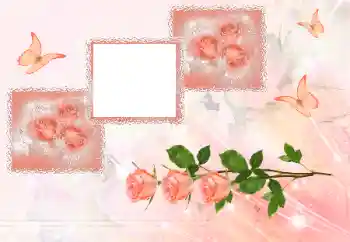 Efekt zdjęciowy z kategorii Ramki dla kobiet № 180707