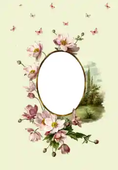 Efekt zdjęciowy z kategorii Ramki dla kobiet № 180747