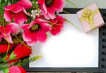 Efekt zdjęciowy z kategorii Ramki dla kobiet № 180815