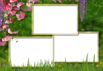 Efekt zdjęciowy z kategorii Ramki dla kobiet № 180850