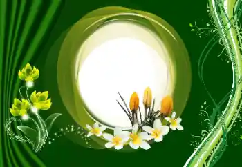 Efekt zdjęciowy z kategorii Ramki dla kobiet № 180910