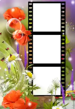 Efekt zdjęciowy z kategorii Ramki dla kobiet № 180921