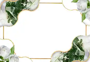 Efekt zdjęciowy z kategorii Ramki dla kobiet № 18185