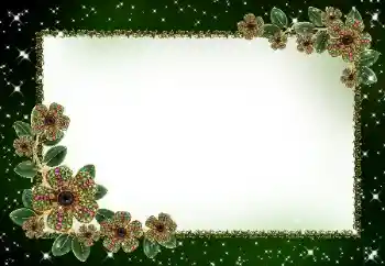 Efekt zdjęciowy z kategorii Ramki dla kobiet № 181929