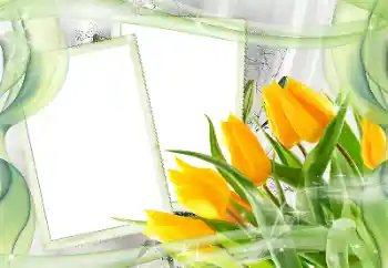 Efekt zdjęciowy z kategorii Ramki dla kobiet № 181968