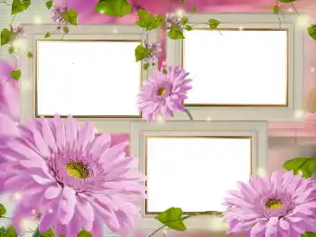 Efekt zdjęciowy z kategorii Ramki dla kobiet № 181986