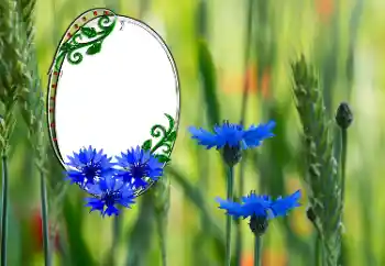 Efekt zdjęciowy z kategorii Ramki dla kobiet № 181991