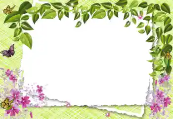 Efekt zdjęciowy z kategorii Ramki dla kobiet № 18199