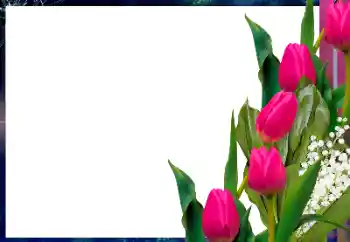 Efekt zdjęciowy z kategorii Ramki dla kobiet № 182017