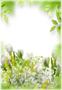 Efekt zdjęciowy z kategorii Ramki dla kobiet № 182024