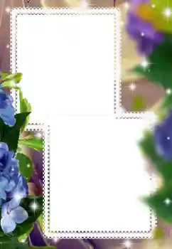 Efekt zdjęciowy z kategorii Ramki dla kobiet № 182073