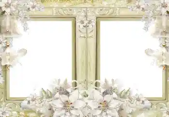 Efekt zdjęciowy z kategorii Ramki dla kobiet № 182139