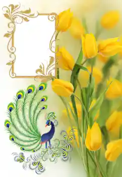 Efekt zdjęciowy z kategorii Ramki dla kobiet № 182161 Efekt zdjęciowy z kategorii Ramki dla kobiet № 182161